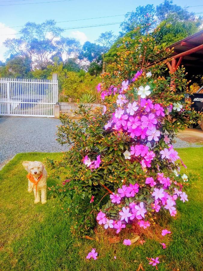 Le Petit Cherie Blumenau Bagian luar foto